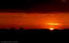 Sunset.jpg (10598 bytes)