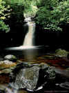 Waterfall Campsie Glen.jpg (56936 bytes)